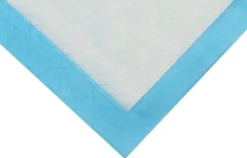 Absorberande engångsunderlag 60x45 cm 400 ml blå 50-pack