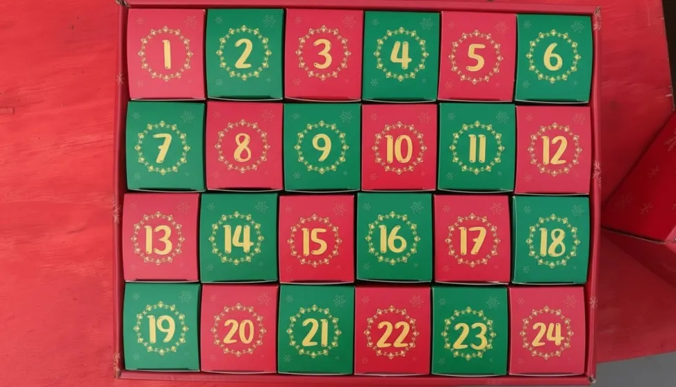 Adventskalender 2026 – 24st Byggklossbukett med Vilda Blommor byggklossar, Julnedräkning för Barn, Tonåringar & Vuxna