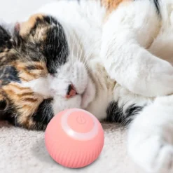 Aktiveringsboll Kattleksak Leksak till Katt Boll som rör sig