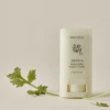 Beauty of Joseon Matte Sun Stick Mugwort + Camelia SPF50 18g