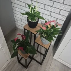 Blomsterställ 3 nivåer metall/MDF 67 cm svart 15 kg per hylla