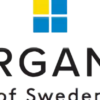Borganäs of Sweden Dra på lakan i 2-pack
