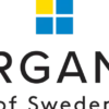 Borganäs of Sweden - Hotellkudde 2-pack