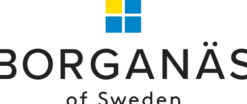 Borganäs of Sweden - Hotellkudde 2-pack