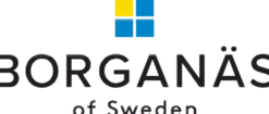 Borganäs of Sweden svalt hotelltäcke och hotellkudde i 100% bomull