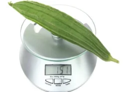 Digital köksvåg 5 kg 1 g LCD härdat glas 19x16 cm