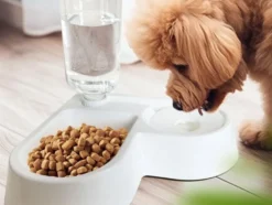 Dubbel matskål hund/katt med vattenautomat 500 ml plast 33 cm