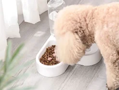 Dubbel matskål hund/katt med vattenautomat 500 ml plast 33 cm