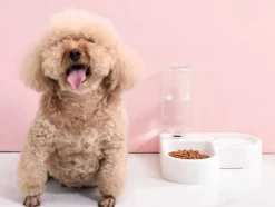 Dubbel matskål hund/katt med vattenautomat 500 ml plast 33 cm