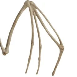 Fladdermus-skelett Halloween-dekoration beige 28 cm med rörliga delar
