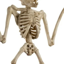 Fladdermus-skelett Halloween-dekoration beige 28 cm med rörliga delar