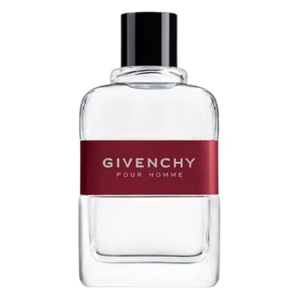 Givenchy Pour Homme Edt 100ml