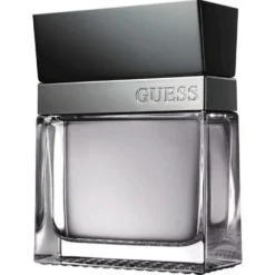 Guess Seductive Homme edt 100ml