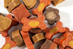 Hälsotest Elite för husdjur med analys av foderintolerans