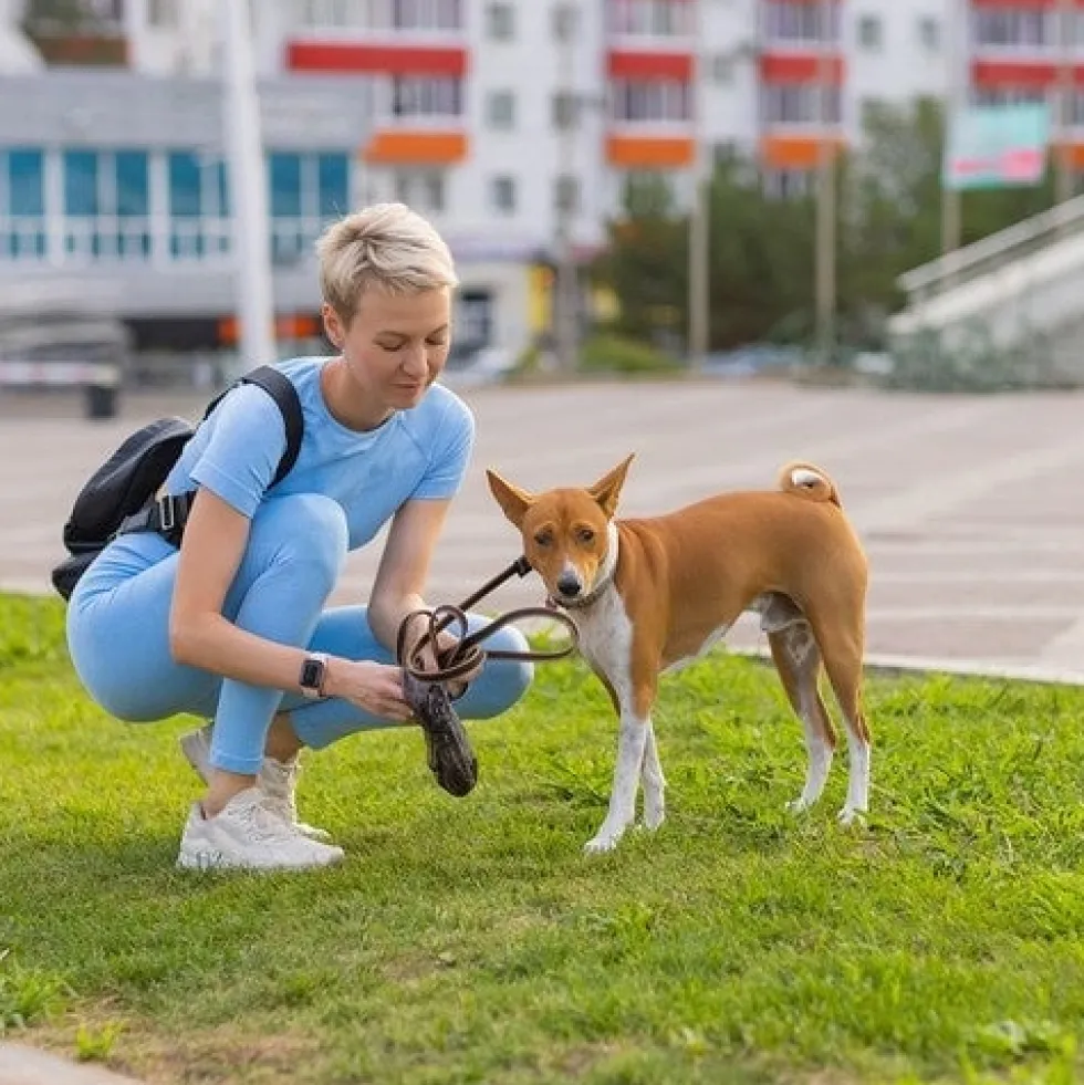 Hundbajspåsar 1000-pack med hållare svart 22x30 cm