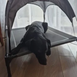 Hundbädd med solskydd