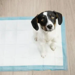 Hygienunderlag för hund/valp 60x40 cm 100-pack + 30 bajspåsar