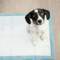 Hygienunderlag hund/valp 60x90 cm 50-pack + hundbajspåsar 30 st