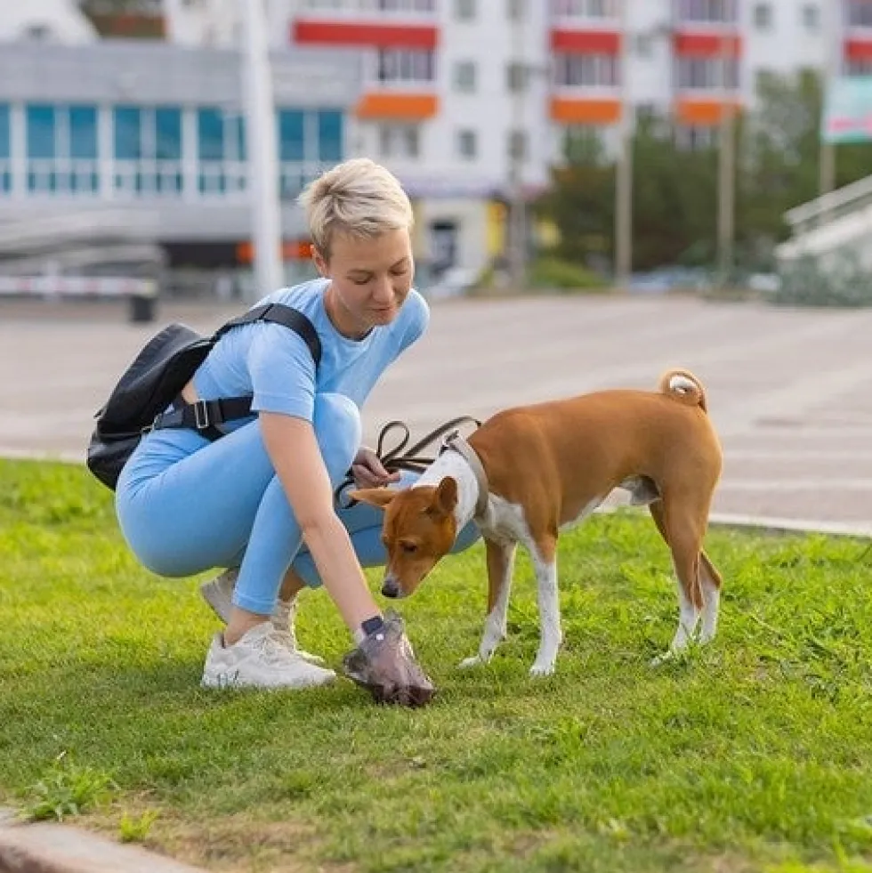 Hygienunderlag hund/valp 60x90 cm 50-pack + hundbajspåsar 30 st