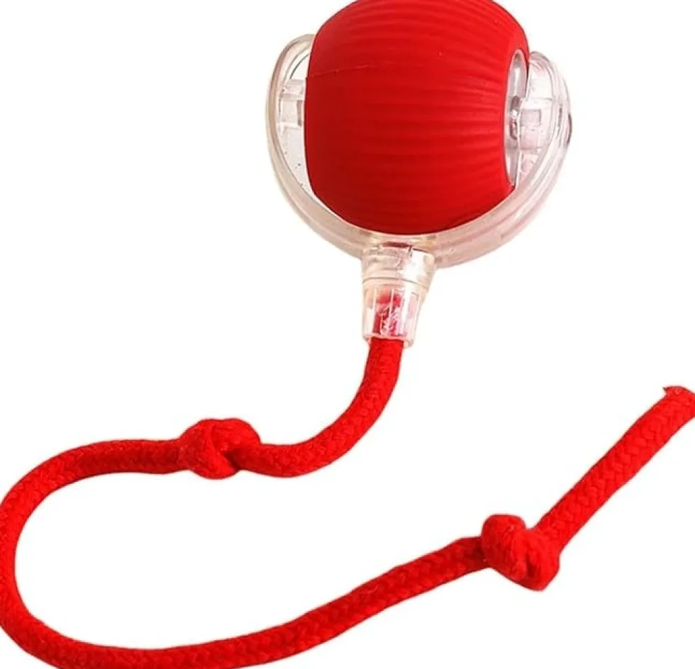 Interaktiv kattleksak / Boll som rör sig