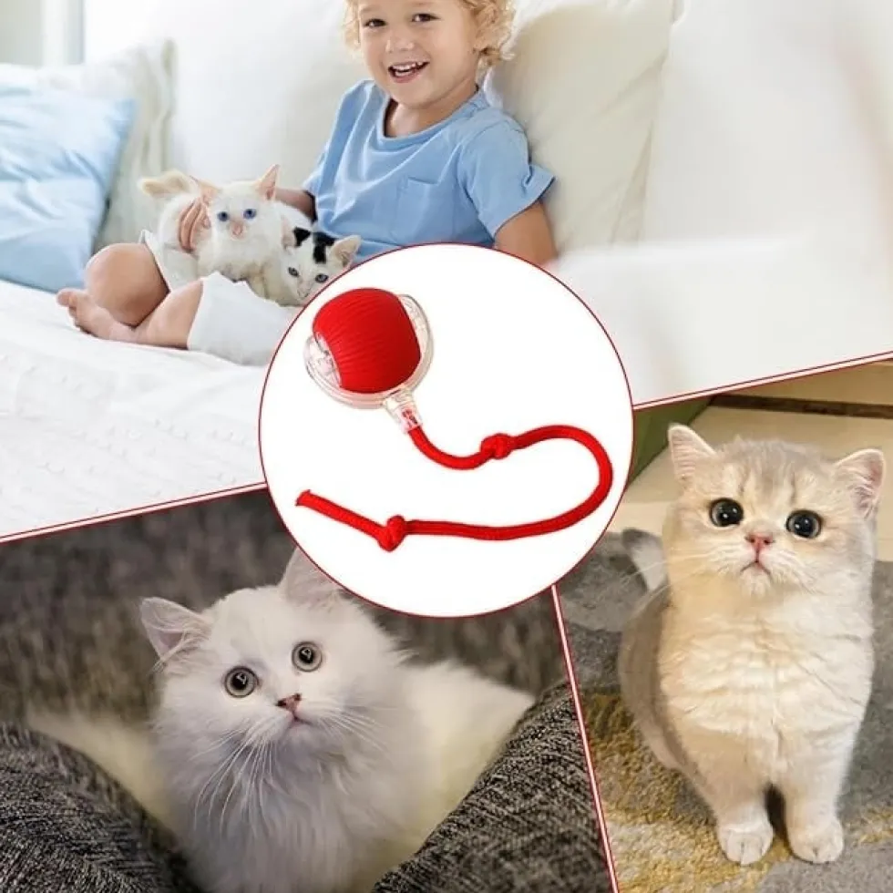 Interaktiv kattleksak / Boll som rör sig