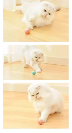 Kattleksak / Aktiveringsboll för katt