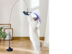 Kattleksak med sugkopp och rörlig fågel
