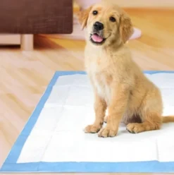 Kissmatta / Hygienunderlägg för Hund och Husdjur