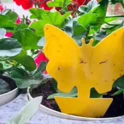 Klibbig Insektsfälla 12-pack
