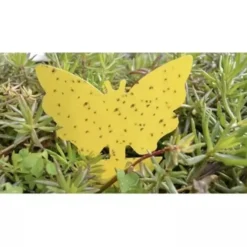 Klibbig Insektsfälla 12-pack