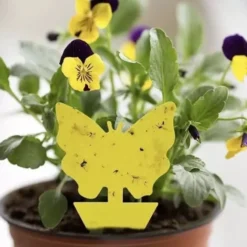 Klibbig Insektsfälla 12-pack