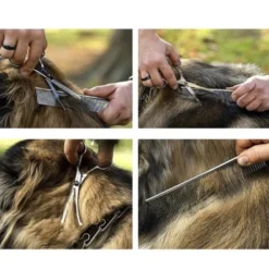 Komplett kit Hundsaxar för trimning