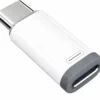 Lightning för USB-C adapter