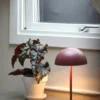 Markslöjd Zin bordslampa