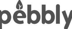 Pebbly - Glasburk med bambulock 240 ml/320 ml, 2-pack