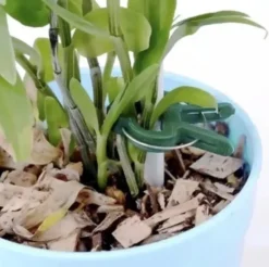 Plantklämmor för växtstöd 108-pack grön (54 små + 54 stora)
