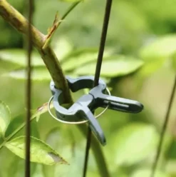 Plantklämmor för växtstöd 108-pack grön (54 små + 54 stora)