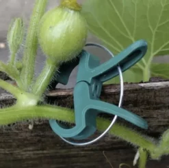 Plantklämmor för växtstöd 108-pack grön (54 små + 54 stora)