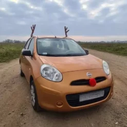 Renhorn till bilen / Rudolf-dekoration