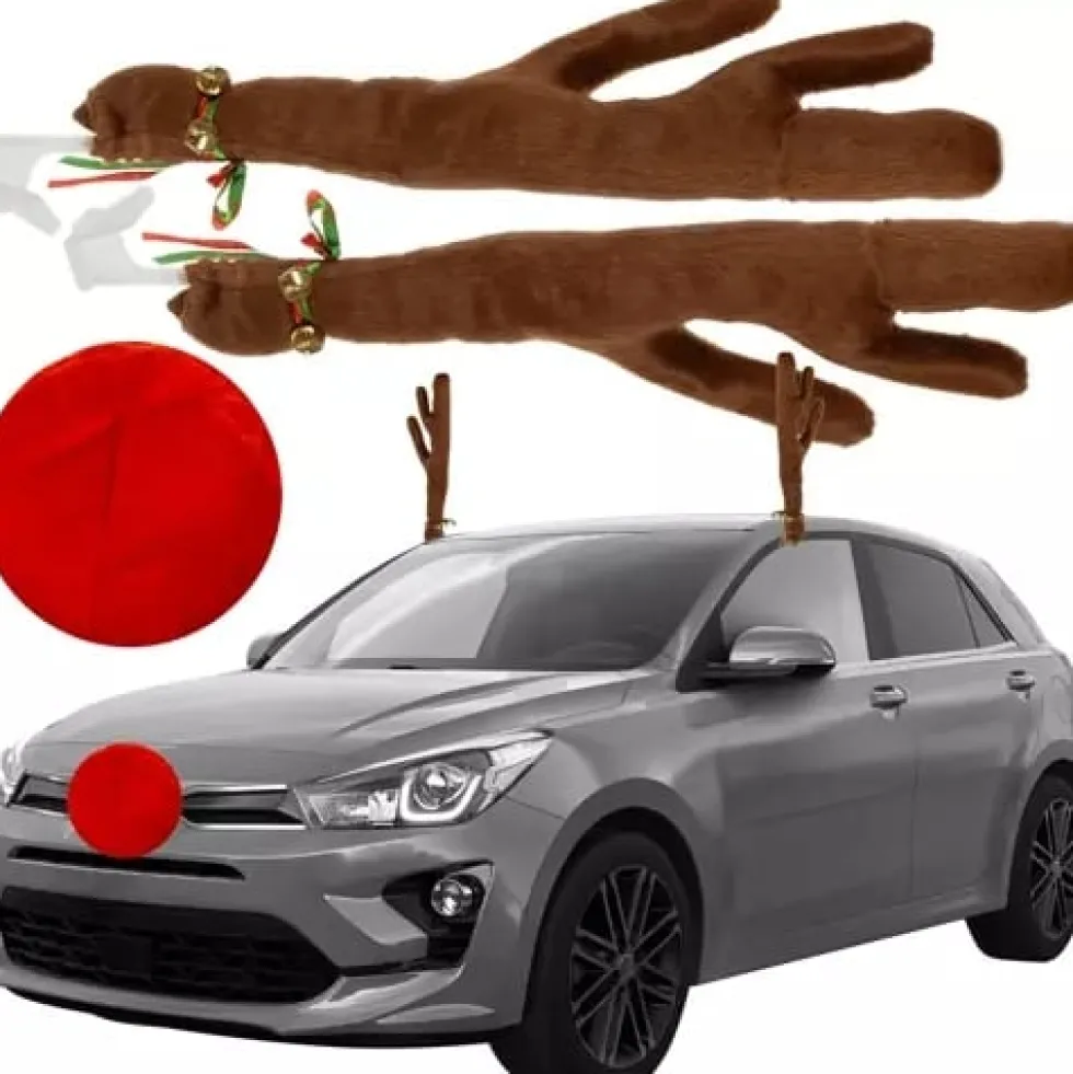 Renhorn till bilen / Rudolf-dekoration