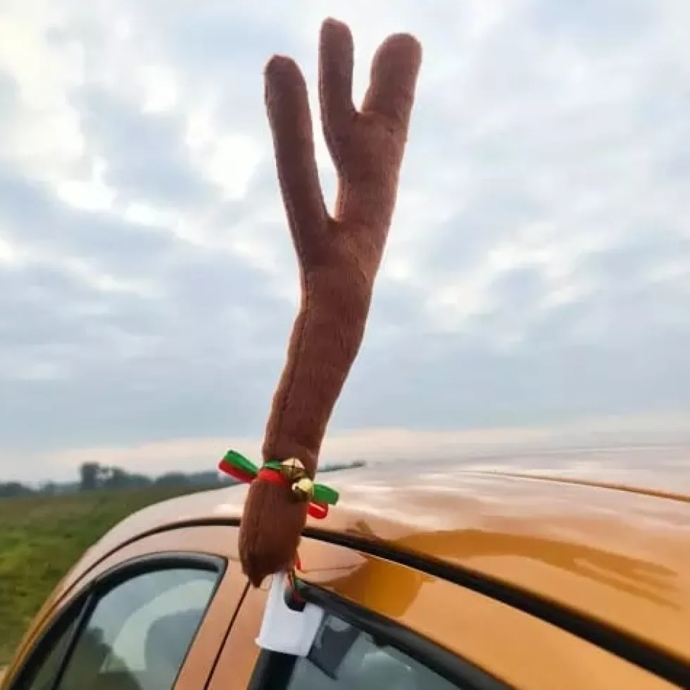Renhorn till bilen / Rudolf-dekoration