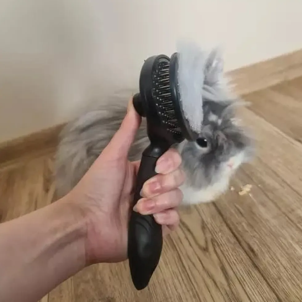 Självrengörande pälsborste med knapp för hund, katt och kanin svart