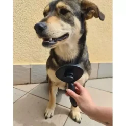 Självrengörande pälsborste med knapp för hund, katt och kanin svart