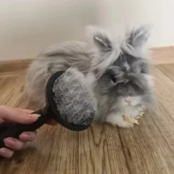 Självrengörande pälsborste med knapp för hund, katt och kanin svart