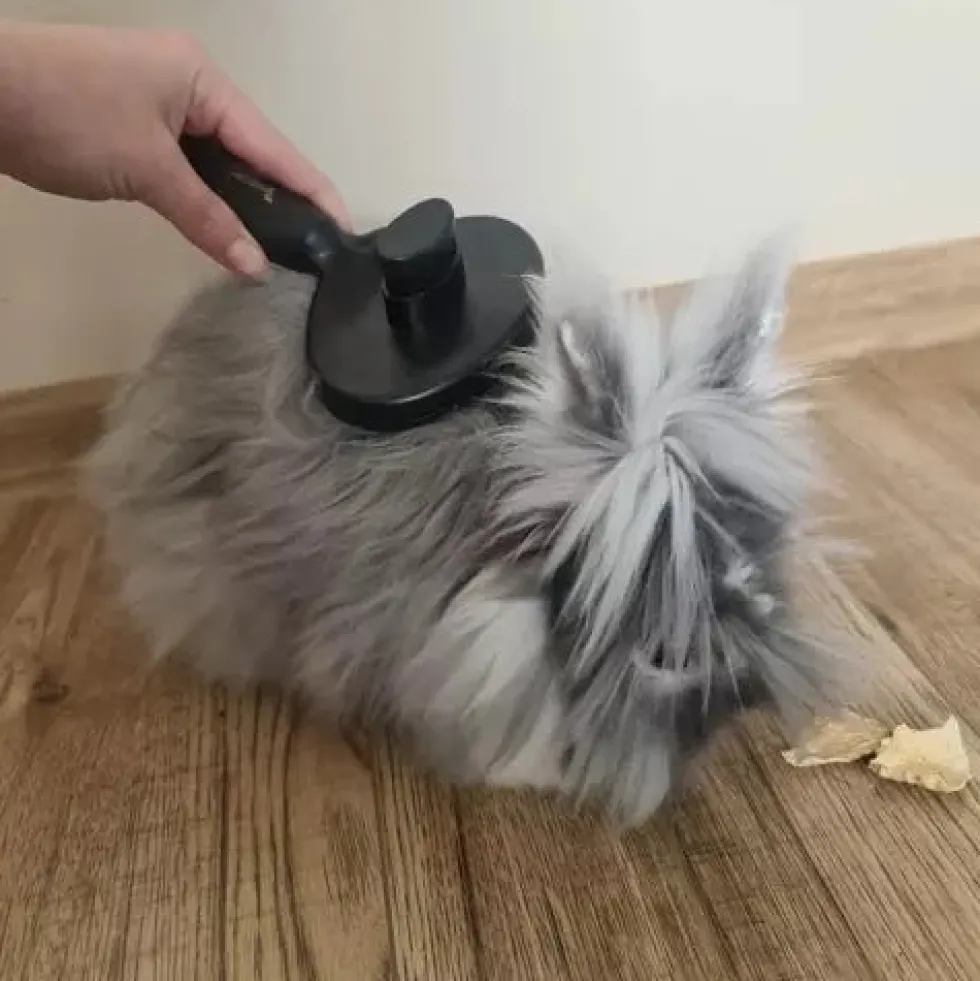Självrengörande pälsborste med knapp för hund, katt och kanin svart