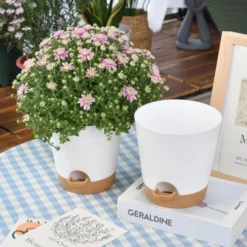 Självvattnande kruka för inomhusväxter