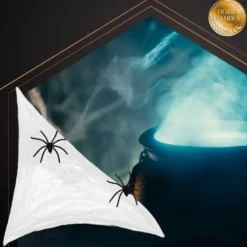 Spindelnät Halloween-dekoration 2,5 m² med 2 svarta spindlar
