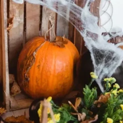 Spindelnät Halloween-dekoration 60 g vit med 2 spindlar, täcker 2,5 m²