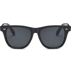 Svarta Wayfarer Solglasögon Svart Glas