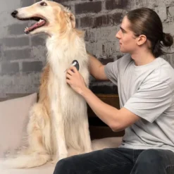 Tovkniv / Tovutredare för Hund och Katt 5-pack